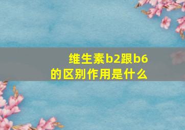 维生素b2跟b6的区别作用是什么