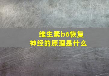 维生素b6恢复神经的原理是什么