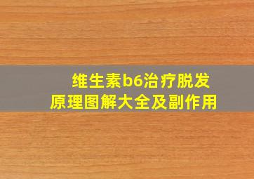 维生素b6治疗脱发原理图解大全及副作用