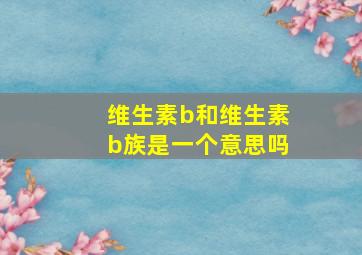 维生素b和维生素b族是一个意思吗