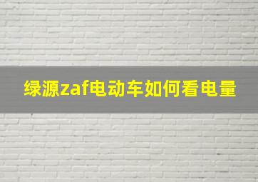 绿源zaf电动车如何看电量