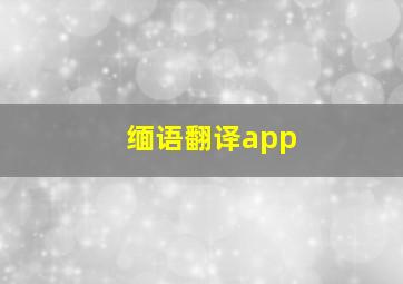 缅语翻译app