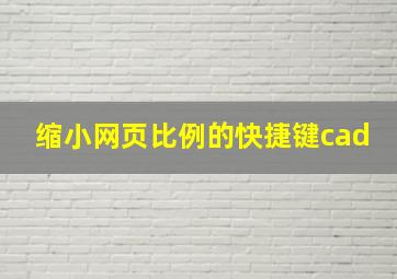 缩小网页比例的快捷键cad