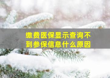 缴费医保显示查询不到参保信息什么原因