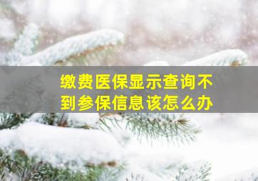 缴费医保显示查询不到参保信息该怎么办