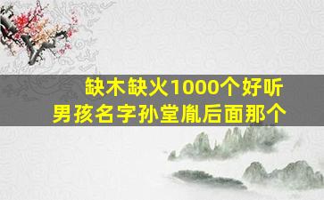 缺木缺火1000个好听男孩名字孙堂胤后面那个