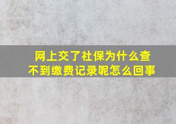 网上交了社保为什么查不到缴费记录呢怎么回事