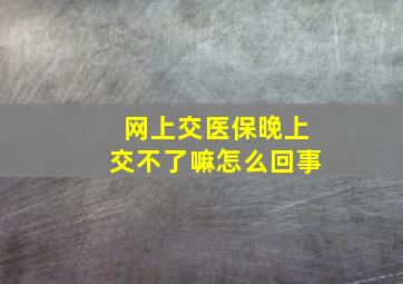 网上交医保晚上交不了嘛怎么回事