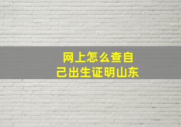 网上怎么查自己出生证明山东