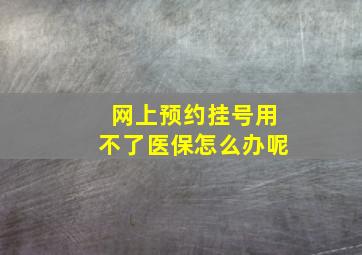 网上预约挂号用不了医保怎么办呢