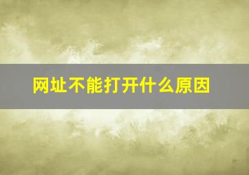 网址不能打开什么原因