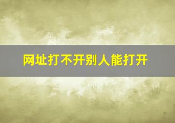 网址打不开别人能打开