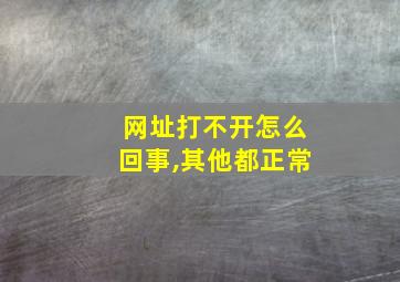 网址打不开怎么回事,其他都正常