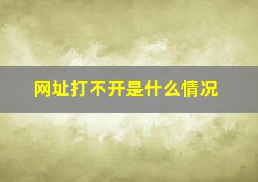 网址打不开是什么情况