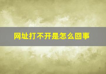 网址打不开是怎么回事