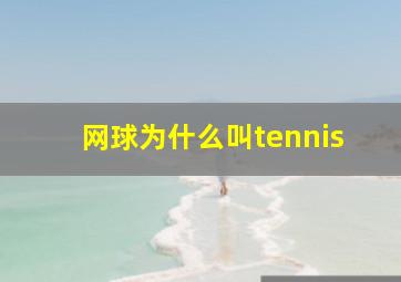 网球为什么叫tennis