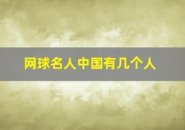 网球名人中国有几个人