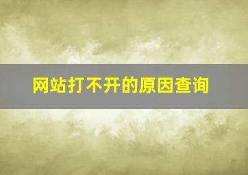 网站打不开的原因查询