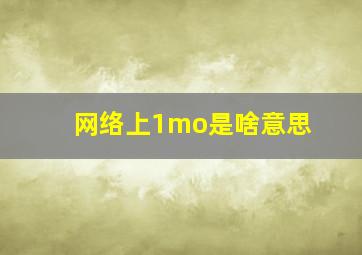 网络上1mo是啥意思