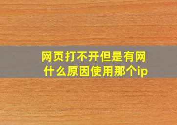 网页打不开但是有网什么原因使用那个ip