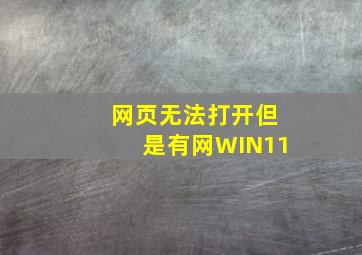 网页无法打开但是有网WIN11