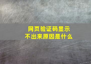 网页验证码显示不出来原因是什么