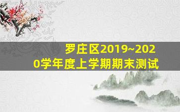 罗庄区2019~2020学年度上学期期末测试