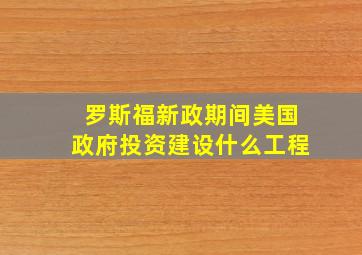 罗斯福新政期间美国政府投资建设什么工程