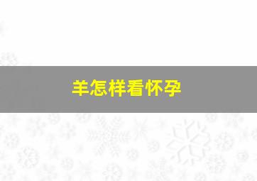 羊怎样看怀孕