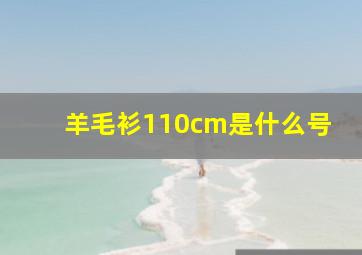 羊毛衫110cm是什么号