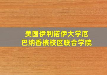 美国伊利诺伊大学厄巴纳香槟校区联合学院