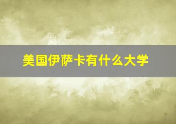 美国伊萨卡有什么大学