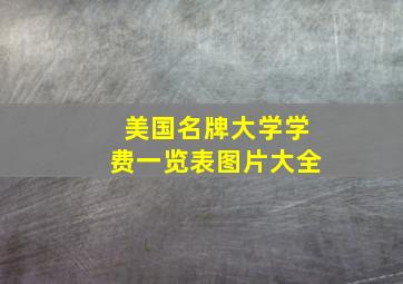 美国名牌大学学费一览表图片大全