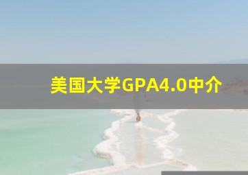 美国大学GPA4.0中介