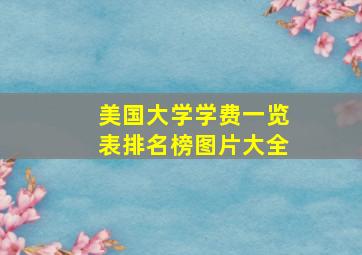 美国大学学费一览表排名榜图片大全