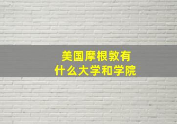 美国摩根敦有什么大学和学院