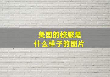 美国的校服是什么样子的图片