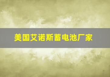 美国艾诺斯蓄电池厂家