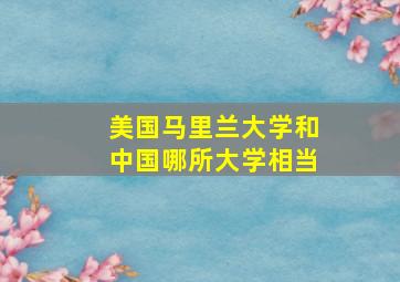 美国马里兰大学和中国哪所大学相当