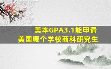 美本GPA3.1能申请美国哪个学校商科研究生