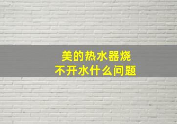 美的热水器烧不开水什么问题