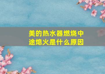 美的热水器燃烧中途熄火是什么原因