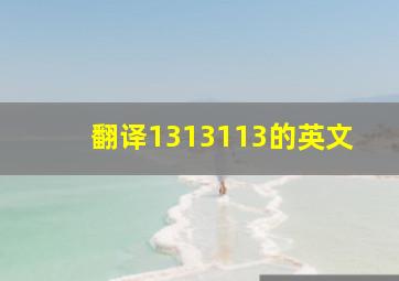 翻译1313113的英文