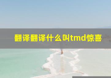 翻译翻译什么叫tmd惊喜