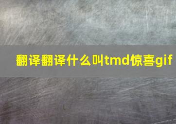 翻译翻译什么叫tmd惊喜gif