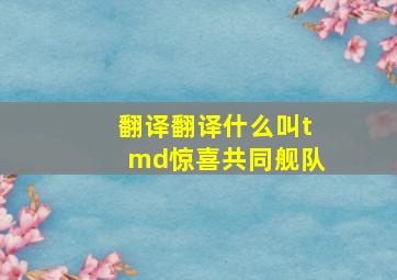 翻译翻译什么叫tmd惊喜共同舰队