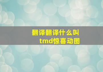 翻译翻译什么叫tmd惊喜动图