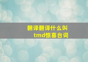 翻译翻译什么叫tmd惊喜台词