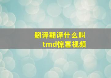 翻译翻译什么叫tmd惊喜视频