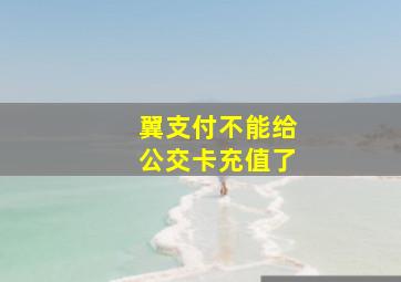 翼支付不能给公交卡充值了